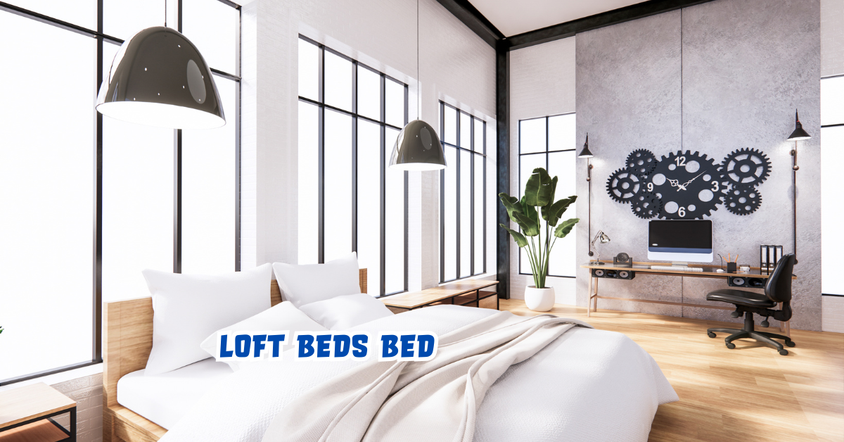 loft beds bed
