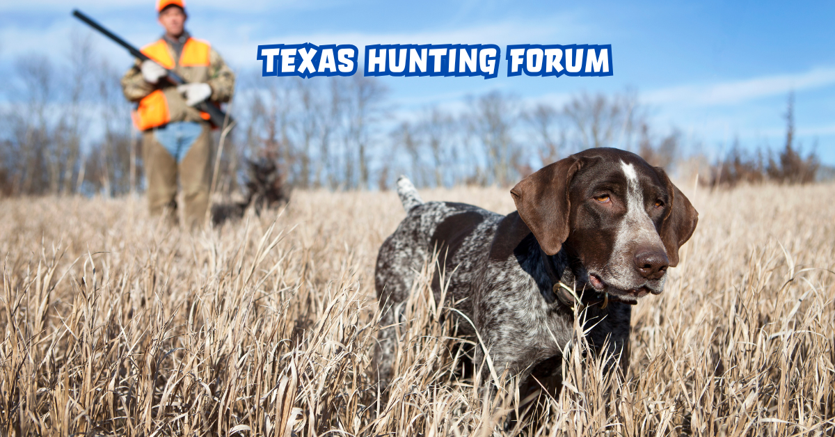 Texas Hunting Forum