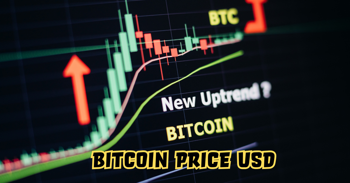 Bitcoin Price USD