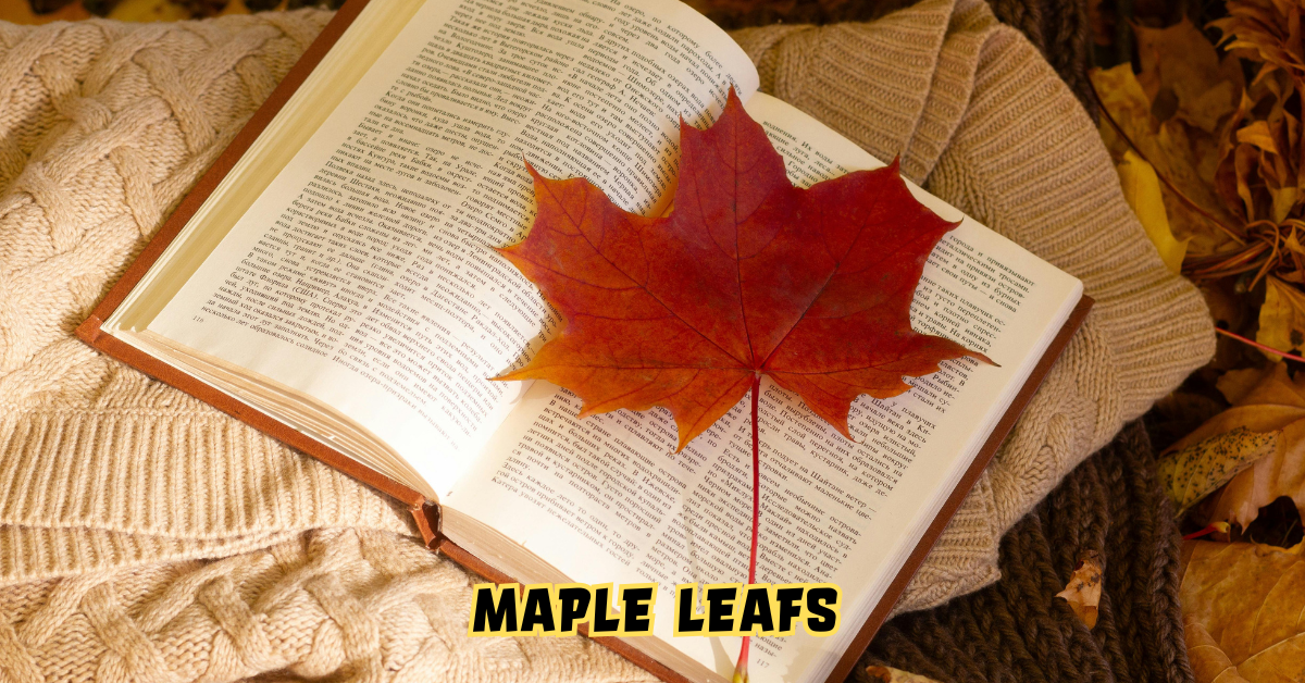 Maple Leafs